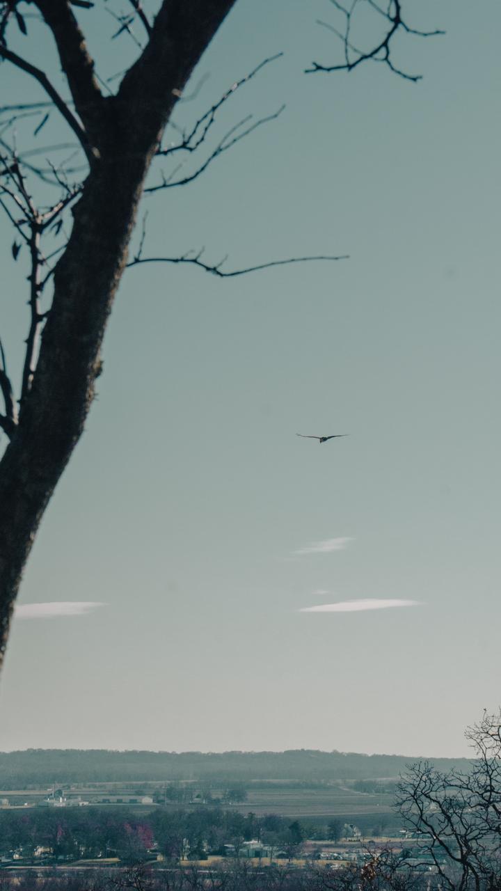 Untitled Outside 2 — 4