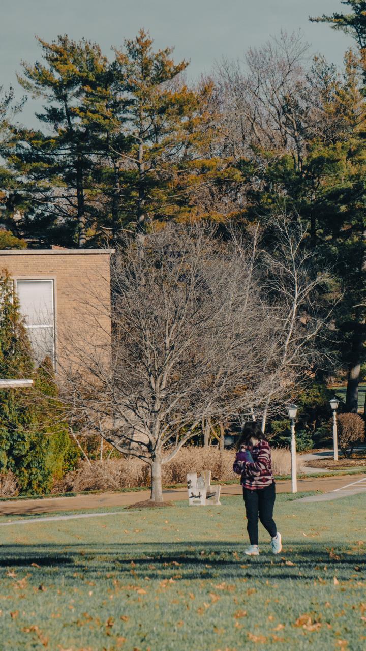 Untitled Outside 2 — 5