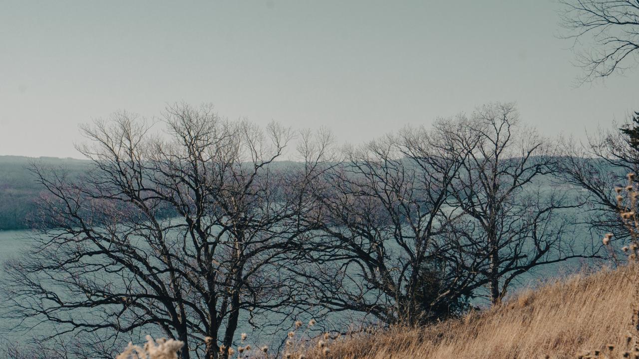 Untitled Outside 2 — 6