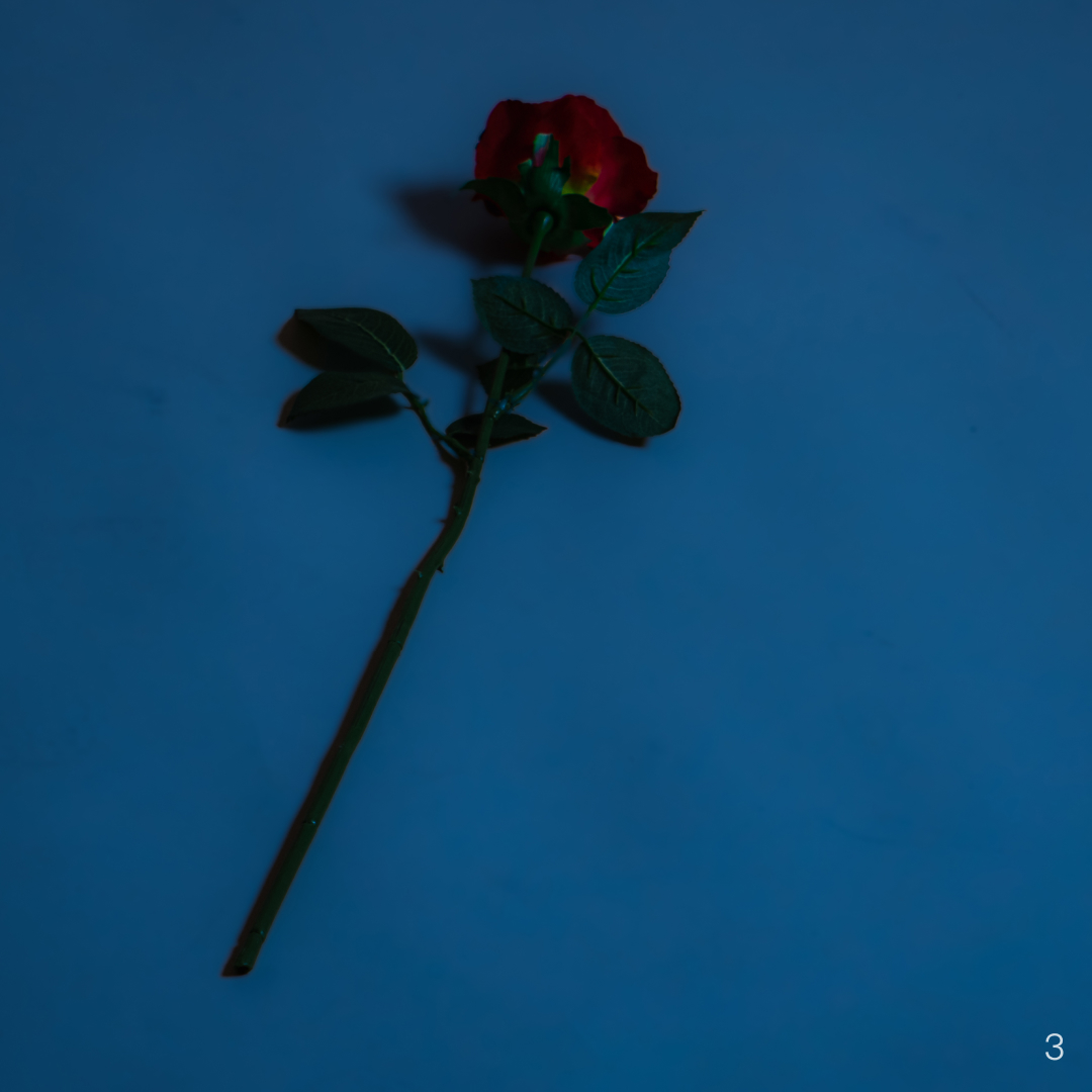 What's The Price? — 3